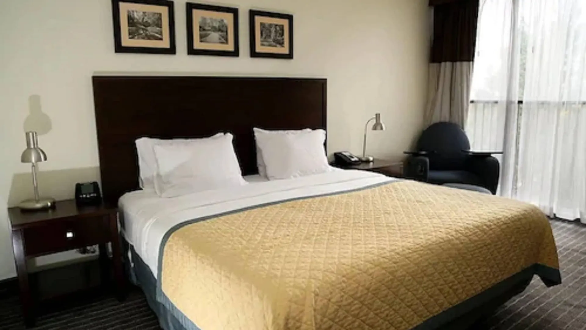 Edward Hotel North York Toronto