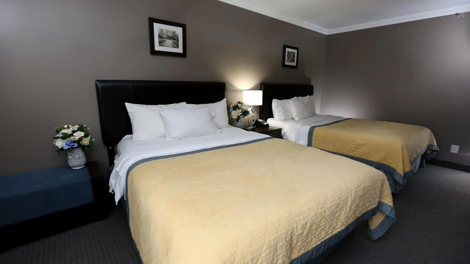Edward Hotel North York Toronto